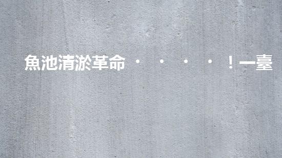 魚池清淤革命！一臺設(shè)備解決淤泥難題，你敢相信嗎？